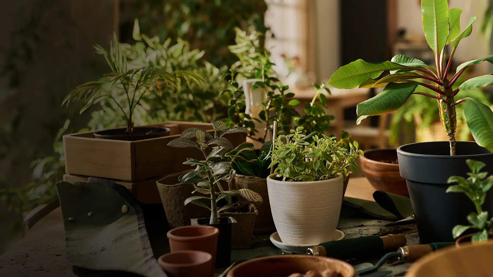 Transform your space with Hareyali.com